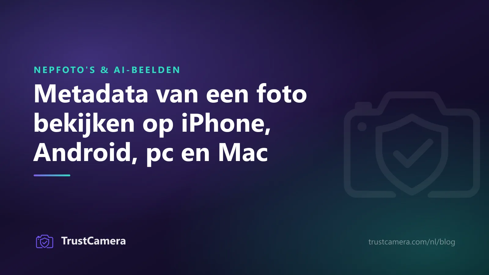 Omslagbeeld: metadata van een foto bekijken op iPhone, Android, pc en Mac