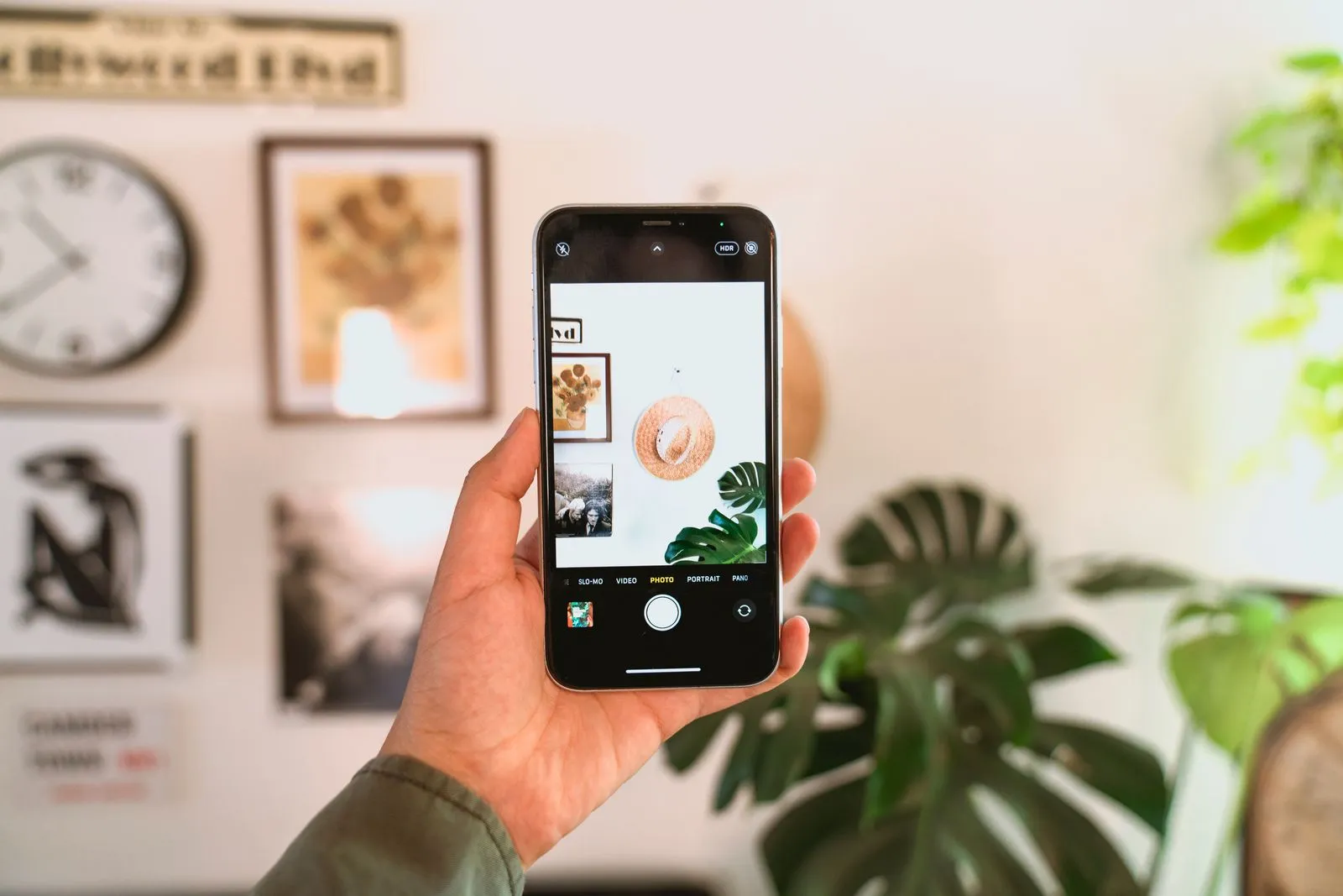 A hand holds a smartphone and photographs a wall with framed pictures and a plant