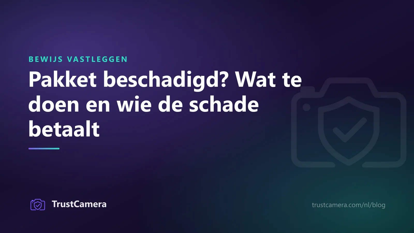 Omslagafbeelding: pakket beschadigd, wat te doen en wie de schade betaalt